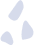 shape5